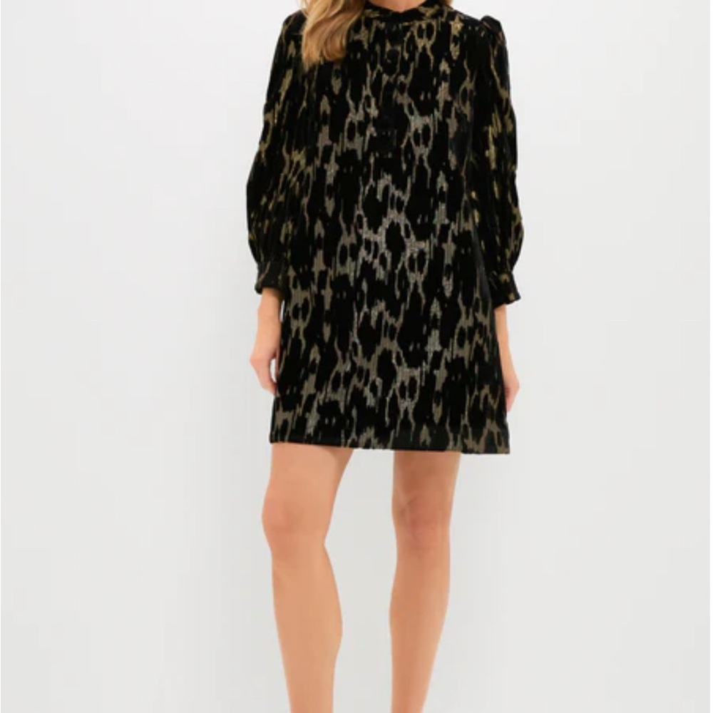 Tuckernuck Pomander Place Metallic Velvet Burnout Samantha Dress